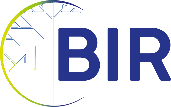 BIR logo