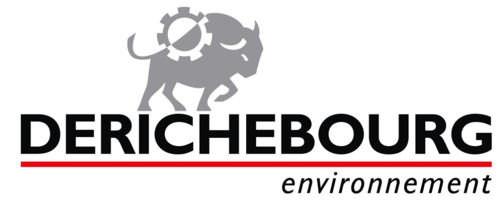 Derichbourg logo